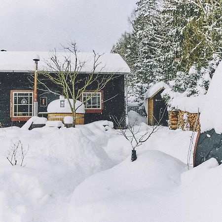 Blickinsfreie - Cabin Schöneck Dış mekan fotoğraf