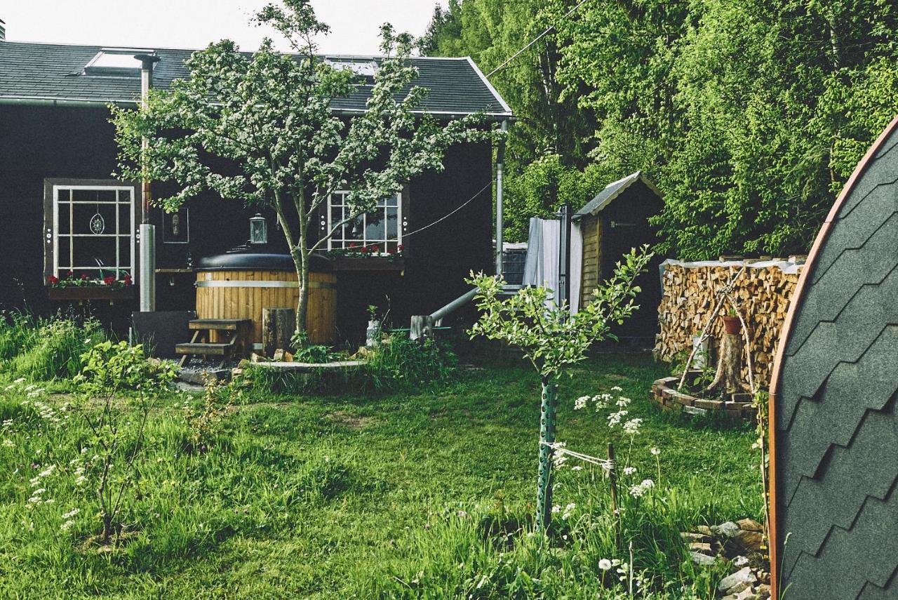 Blickinsfreie - Cabin Schöneck Dış mekan fotoğraf