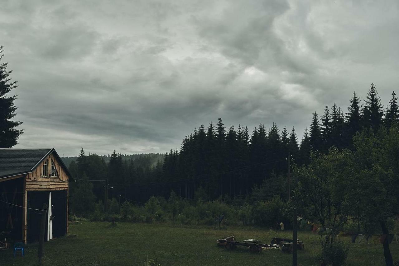 Blickinsfreie - Cabin Schöneck Dış mekan fotoğraf