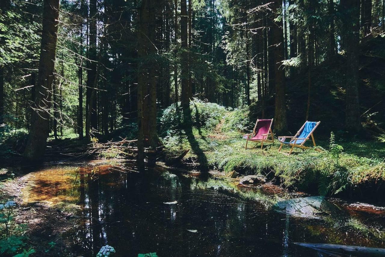 Blickinsfreie - Cabin Schöneck Dış mekan fotoğraf