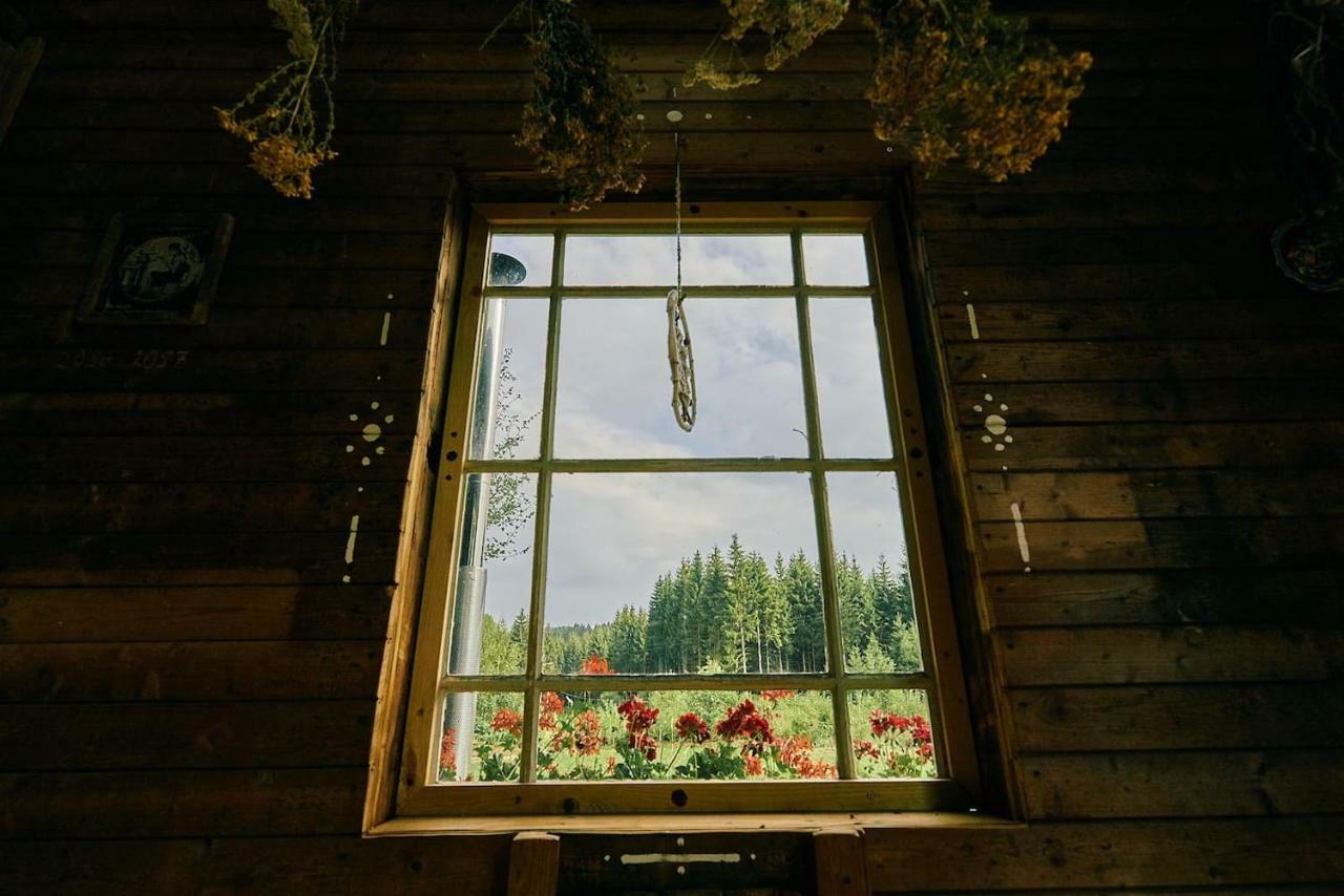 Blickinsfreie - Cabin Schöneck Dış mekan fotoğraf