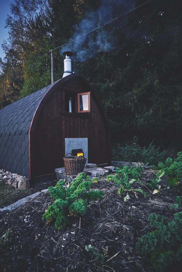 Blickinsfreie - Cabin Villa Schöneck Dış mekan fotoğraf